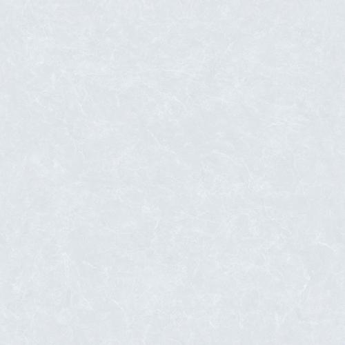 LF80JSR08_02