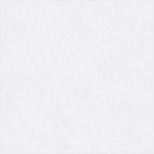 ZYB8910